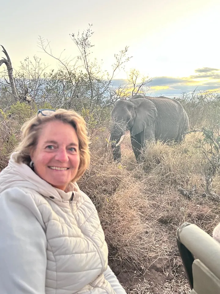 Joyce op gamedrive, met een olifant op een paar meter afstand